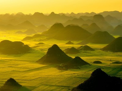 富信掌柜助力中小商家绑定花呗 激活年轻客群提升经营活力