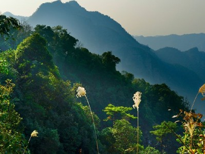 微信能用花呗买票吗？支付生态差异与替代方案解析