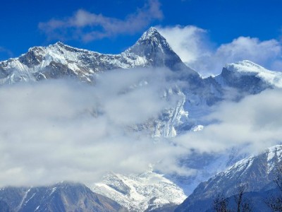 白条变现选正规平台！出财小神高效安全解资金周转难题