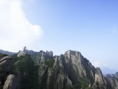 深夜花呗消费别上头！安出掌柜教你管好“情绪账单”