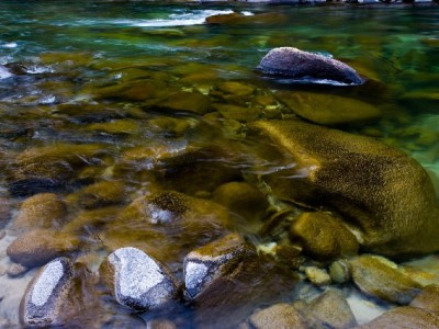 哪些商家能开通花呗收款？餐饮零售+安出掌柜工具轻松搞定