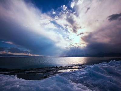 石家庄医保转出难？专业代办（安出掌柜）帮您省时又省心