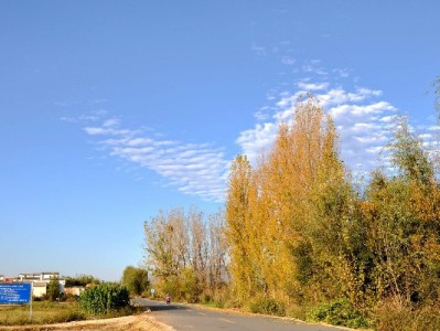 出财小神支招：移动套餐领手机 冻结花呗轻松换新机