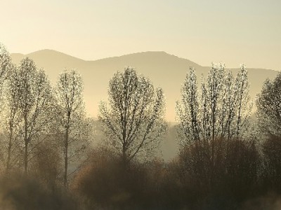 花呗商家收款开通攻略：从条件到实操 安出掌柜助你少走弯路