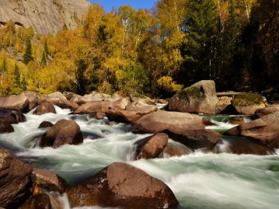 商家花呗收款限额困扰？安出掌柜多策略助力提升交易成功率