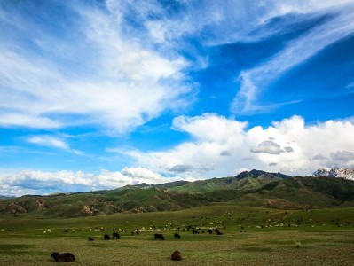医保存折提现密码安全指南：这些要点和"安出掌柜"服务你得知道
