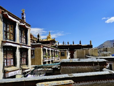 花呗管理有妙招！出财小神助年轻人管好信用"钱袋子"