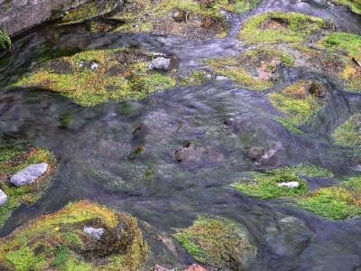 羊小咩额度长期不用难提额？安出掌柜揭秘高效用卡技巧