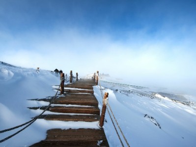 2020年白条套现风险全解析：合规周转可选安出掌柜